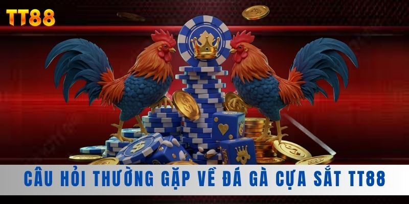 Câu hỏi thường gặp về đá gà cựa sắt TT88 Câu hỏi thường gặp về đá gà cựa sắt TT88