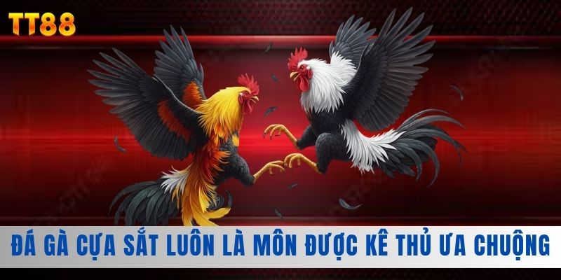 Đá gà cựa sắt luôn là môn được kê thủ ưa chuộng Đá gà cựa sắt luôn là môn được kê thủ ưa chuộng