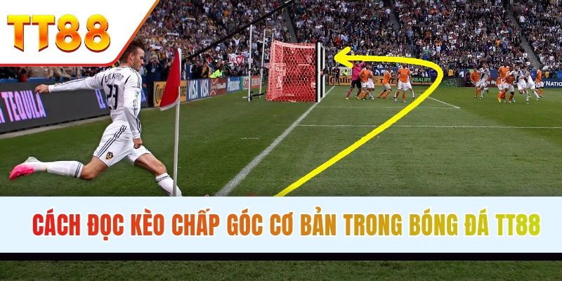Cách đọc kèo chấp góc cơ bản trong bóng đá đọc kèo phạt góc đơn giản trong bóng đá