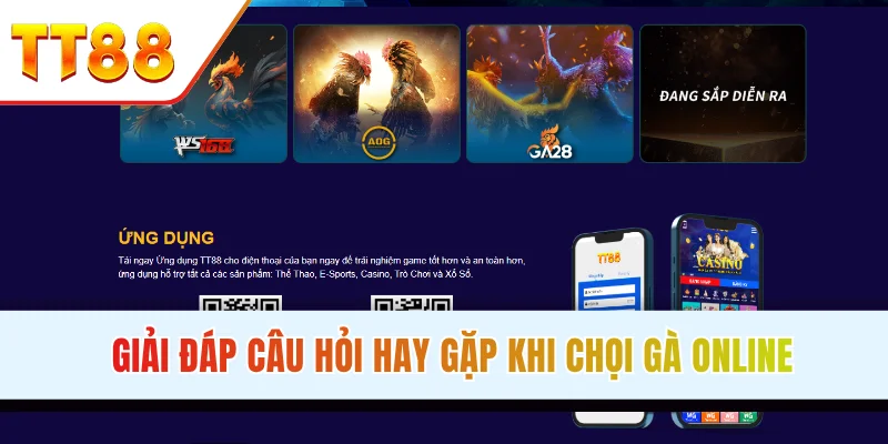 Giải đáp câu hỏi hay gặp khi chọi gà online thắc mắc trong chiến kê tại TT88